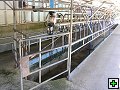 thn_NZ leden-unor 2006 097.jpg